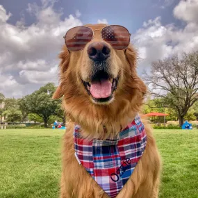 Madras Personalized Dog Bandanas in Nantucket Patchwork