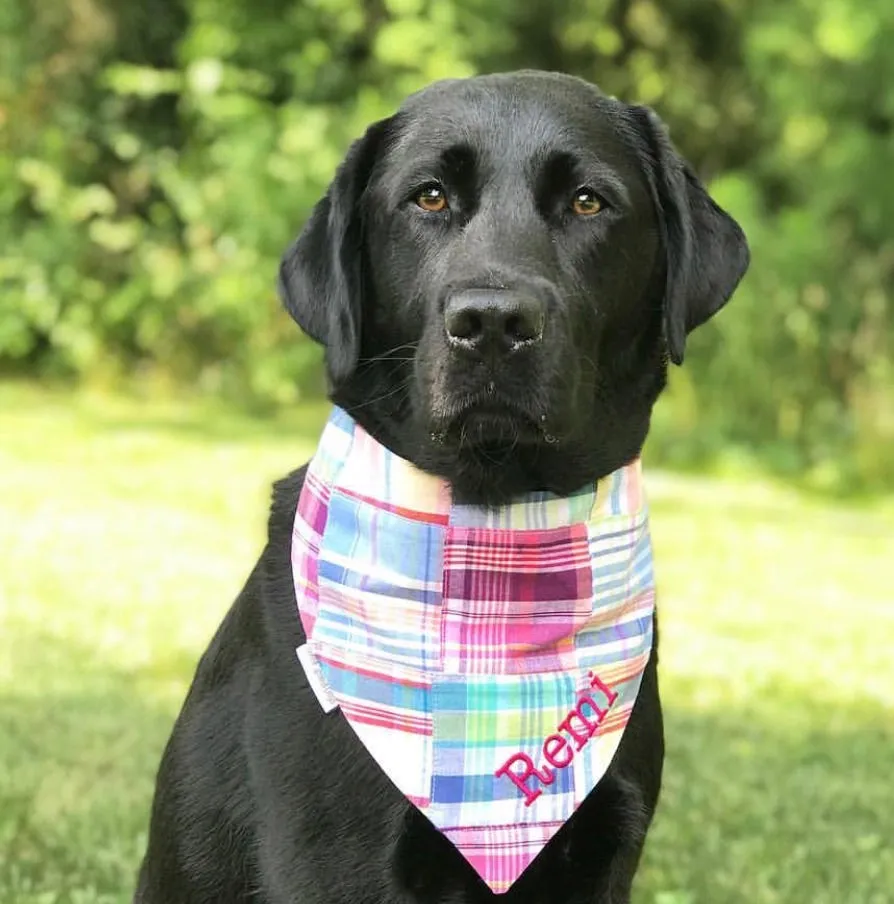 Madras Personalized Dog Bandanas in Nantucket Patchwork