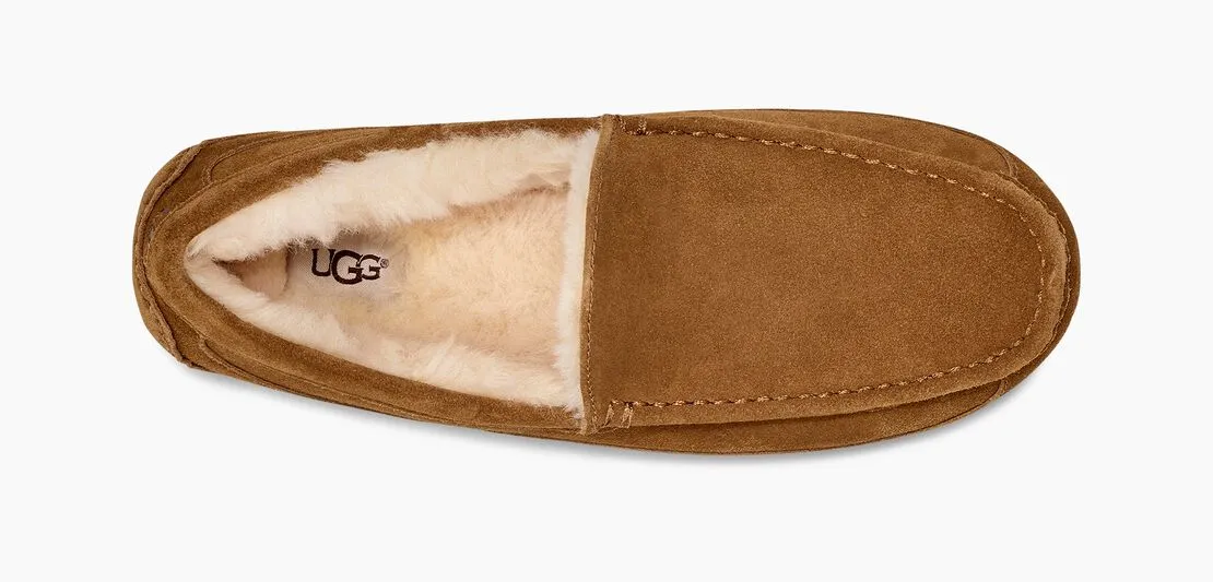 Men's Ascot Slipper Suede