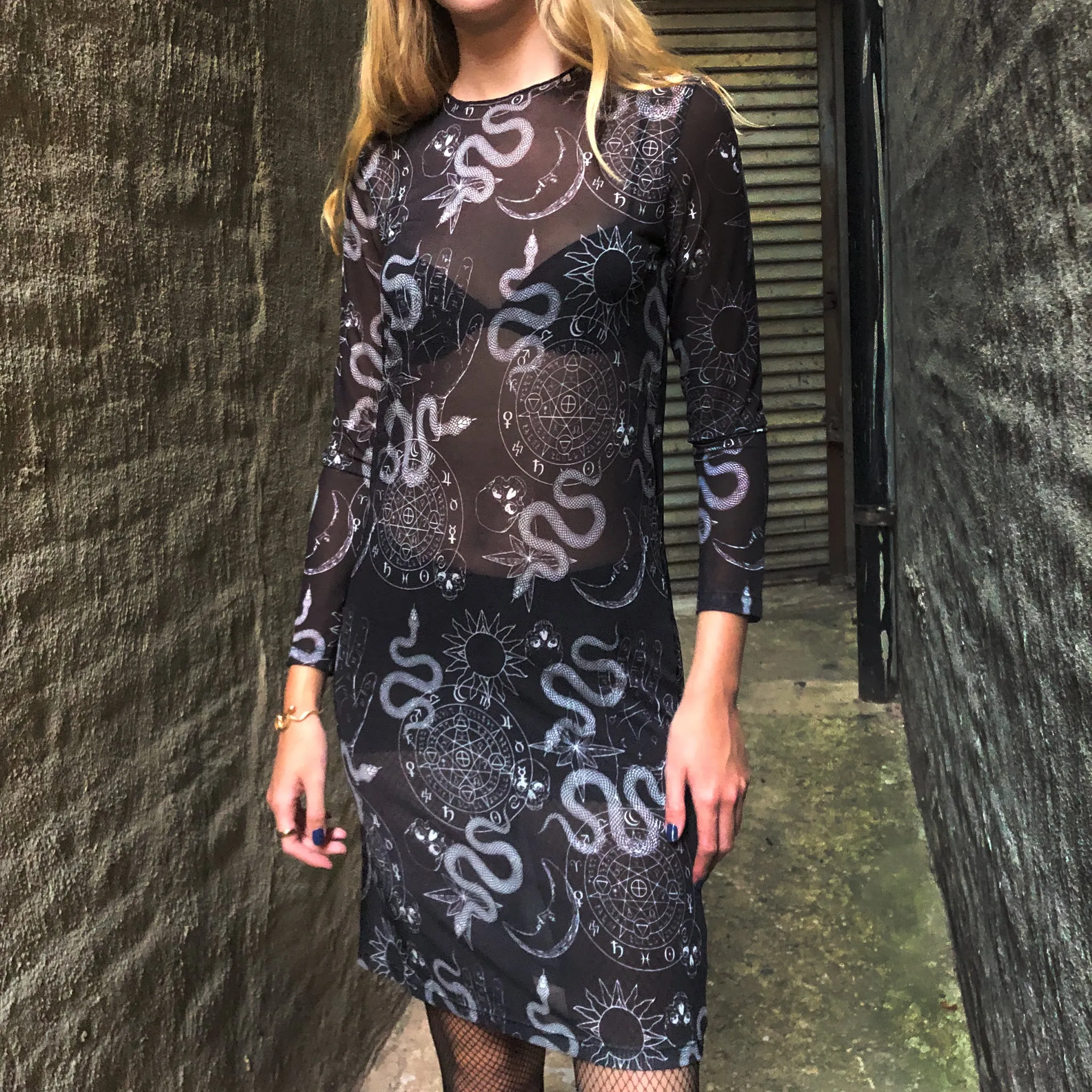 Mesh Print Dress