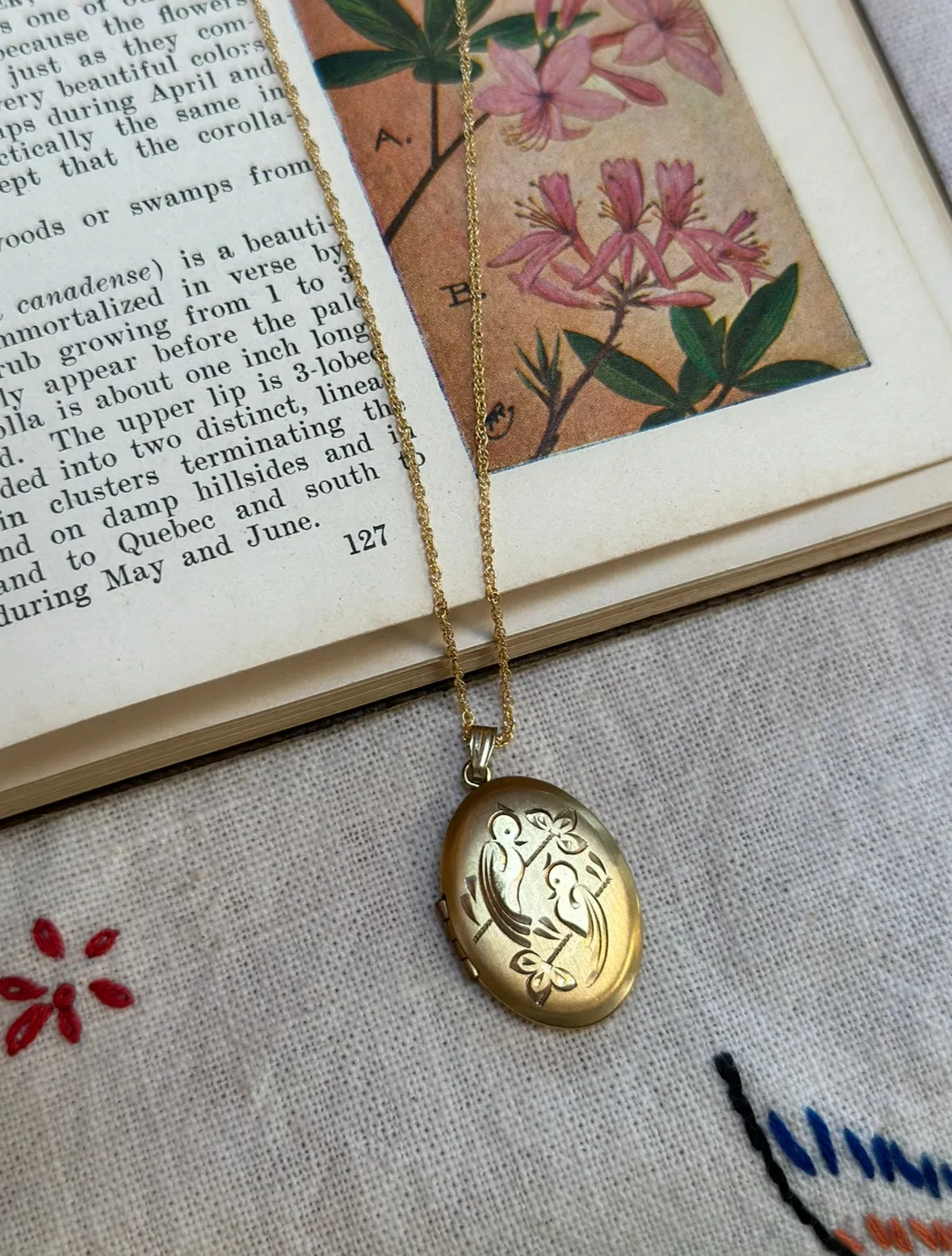 Oretha Bird Locket